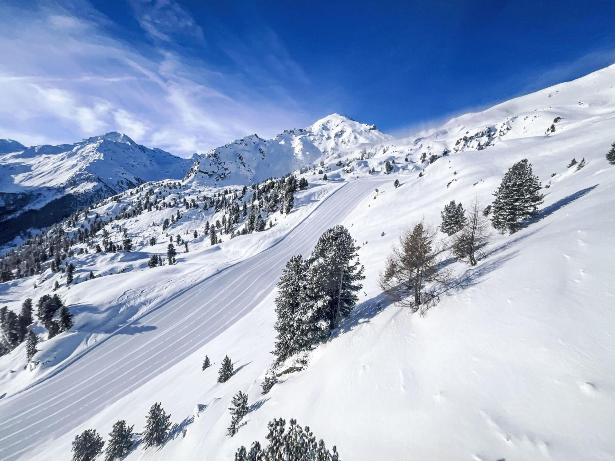 Chalet Les Penguins By Interhome Nendaz Εξωτερικό φωτογραφία