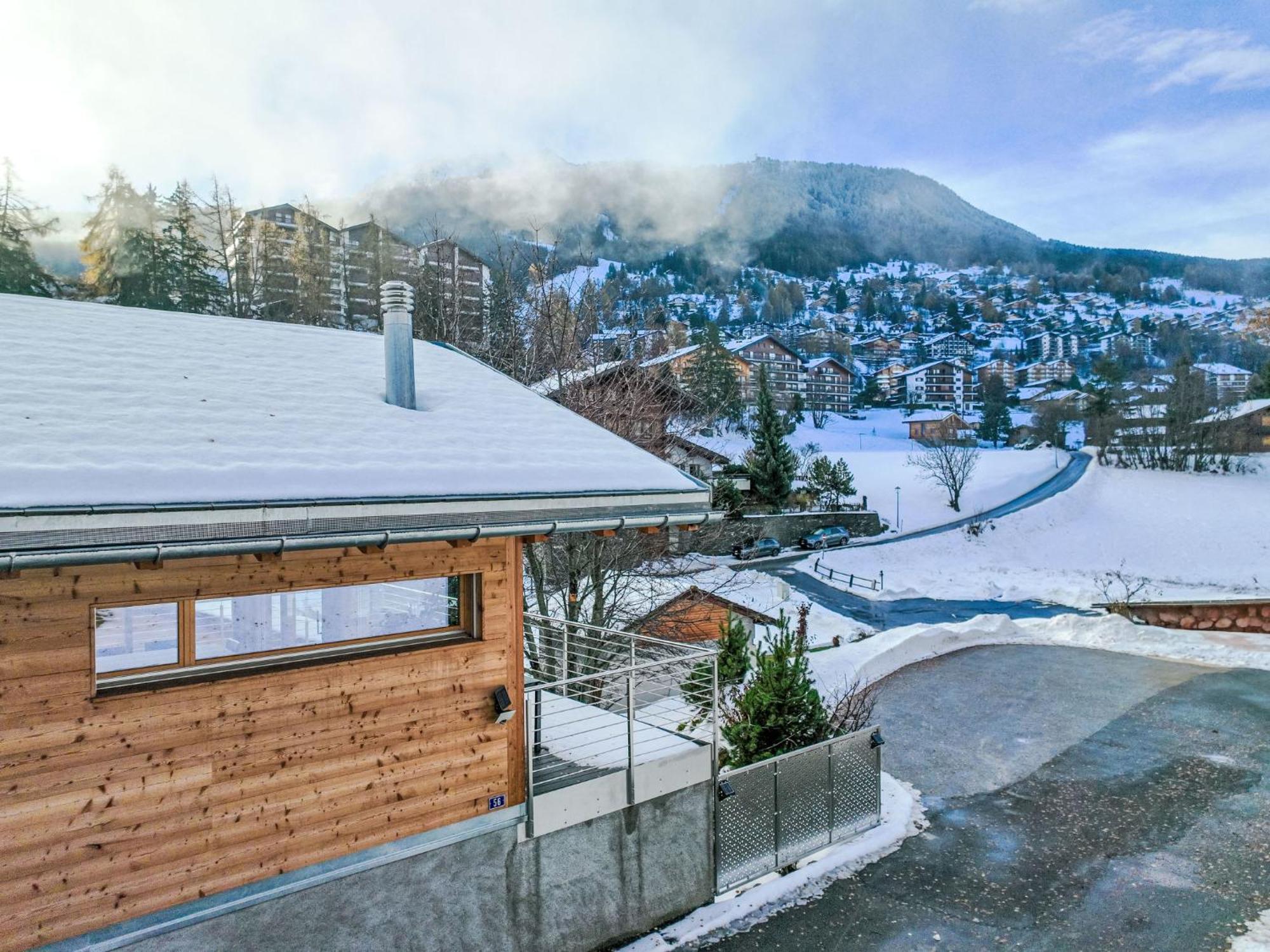 Chalet Les Penguins By Interhome Nendaz Εξωτερικό φωτογραφία